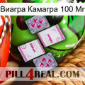 Виагра Камагра 100 Мг 33